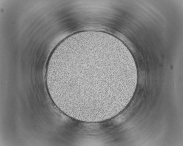 X0000088460856200706121502