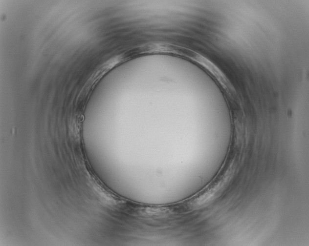 X0000088460857200706121502