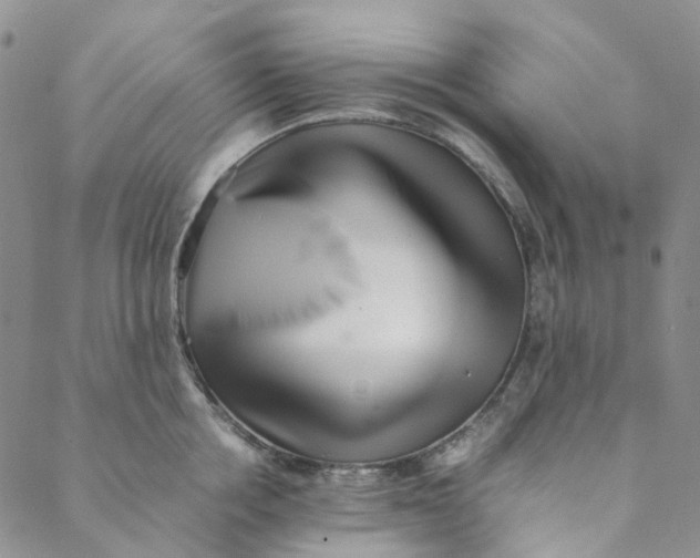 X0000088460858200706121502