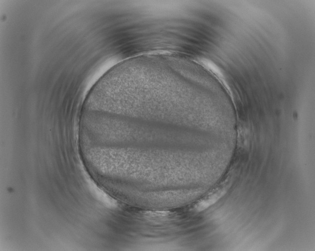 X0000088460859200706121502