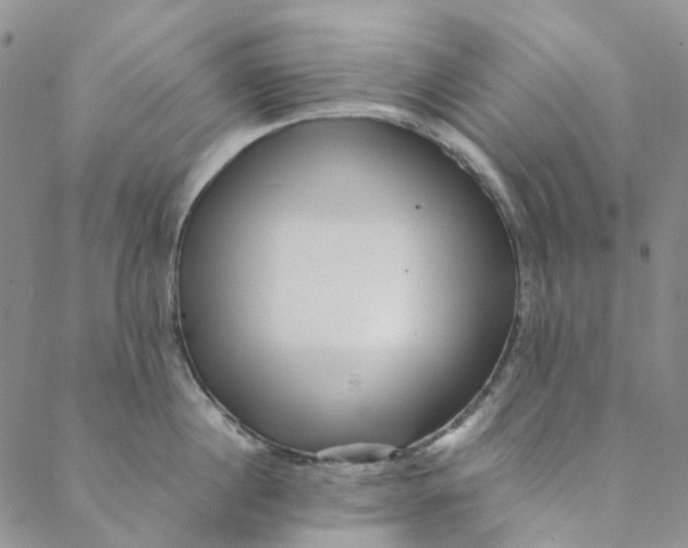 X0000088460860200706121502