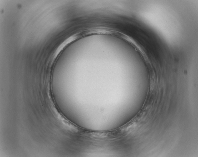 X0000088460861200706121502