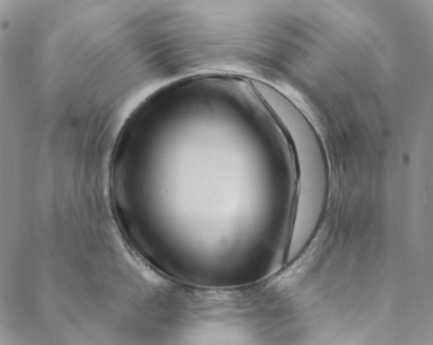 X0000088460862200706121503