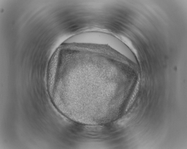 X0000088460863200706121503