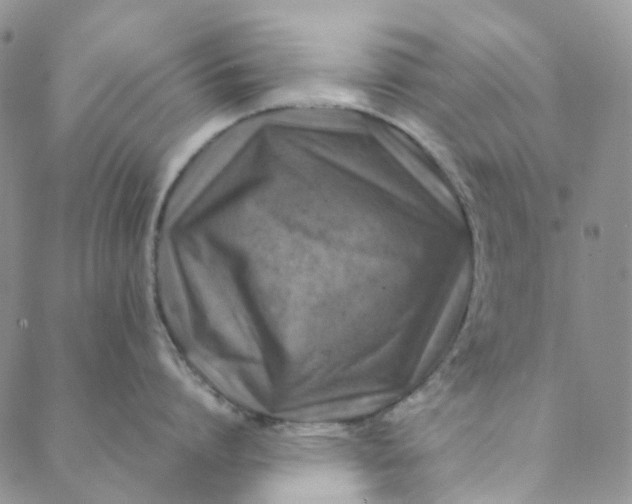 X0000088460864200706121503