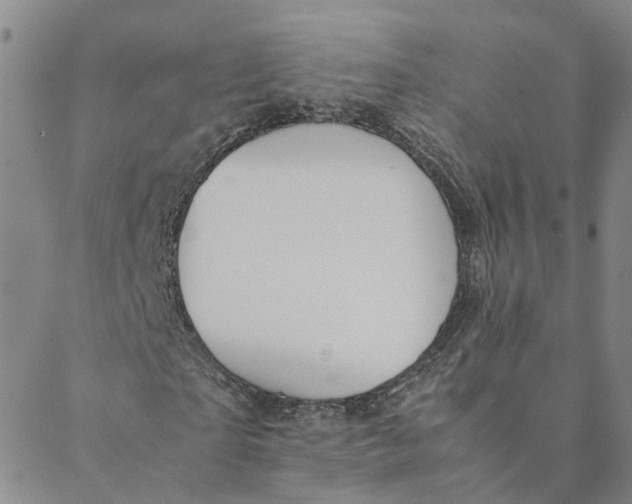 X0000088460865200706121502