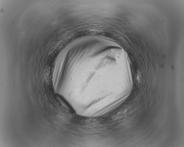 X0000088460867200706121502