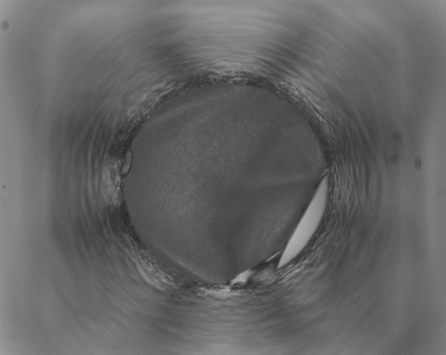 X0000088460868200706121502