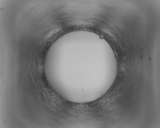 X0000088460869200706121502