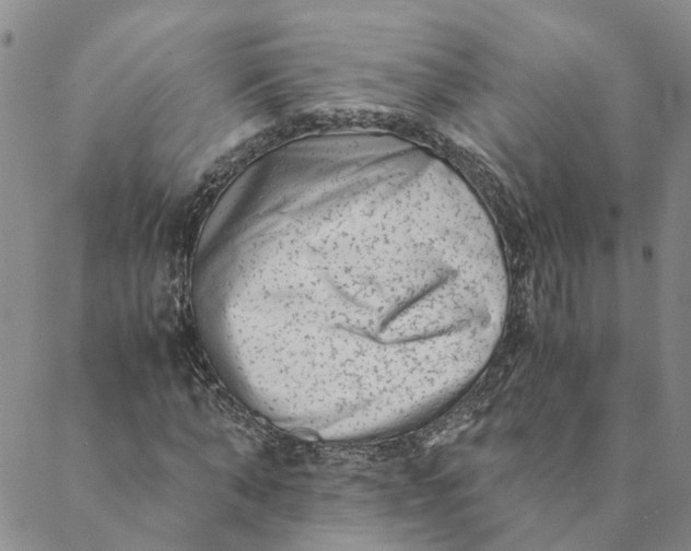 X0000088460870200706121502