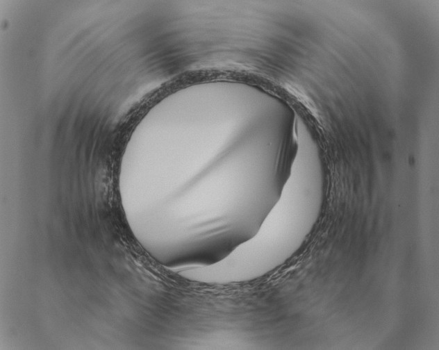 X0000088460872200706121502