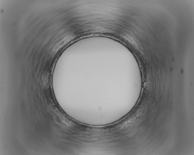 X0000088460873200706121502