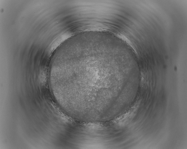 X0000088460874200706121502