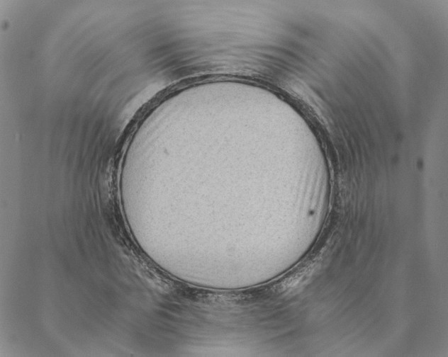 X0000088460875200706121502