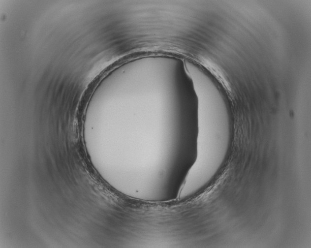 X0000088460876200706121502