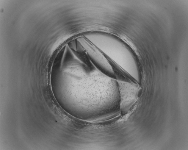 X0000088460877200706121502