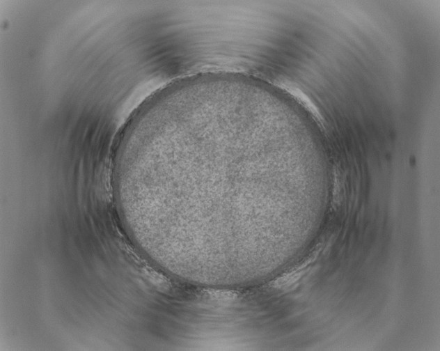 X0000088460878200706121502