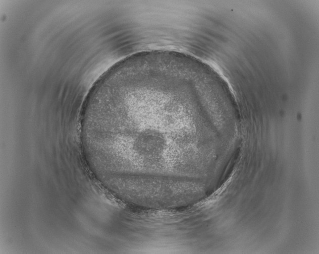 X0000088460879200706121502