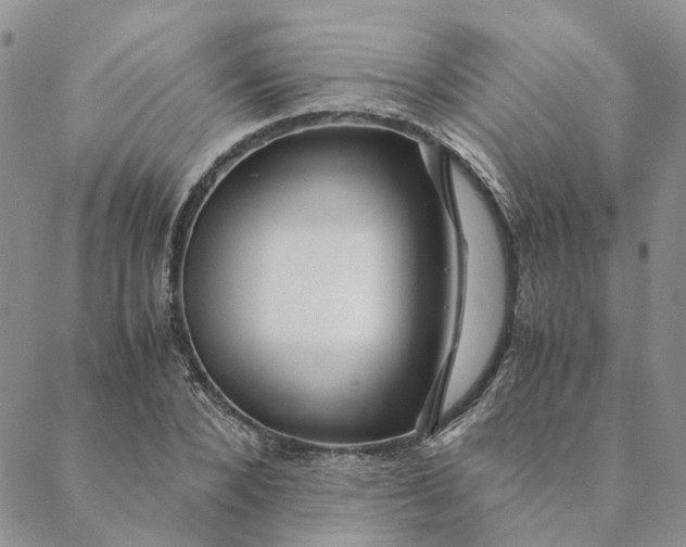 X0000088460880200706121502