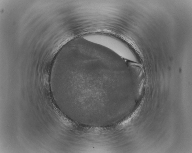 X0000088460881200706121501