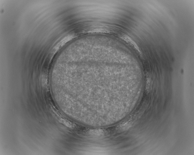 X0000088460882200706121501