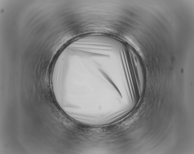 X0000088460883200706121501