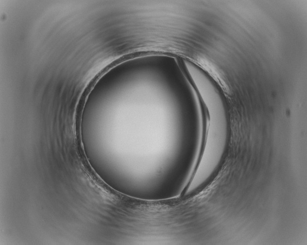 X0000088460884200706121501