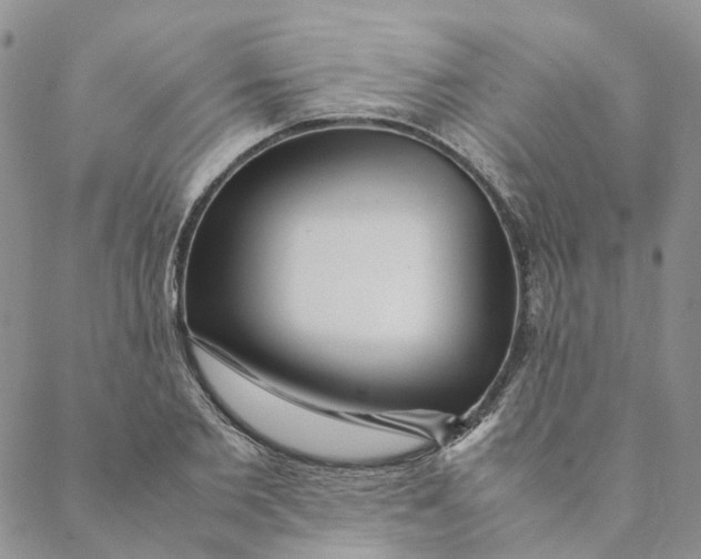 X0000088460885200706121501