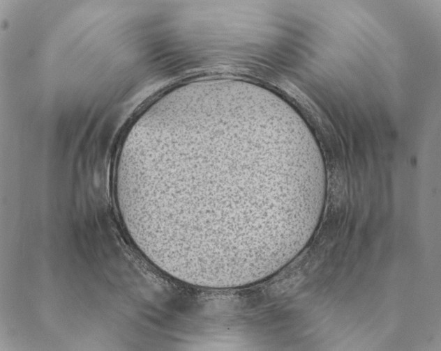 X0000088460886200706121501