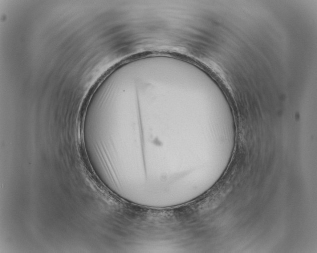 X0000088460887200706121501