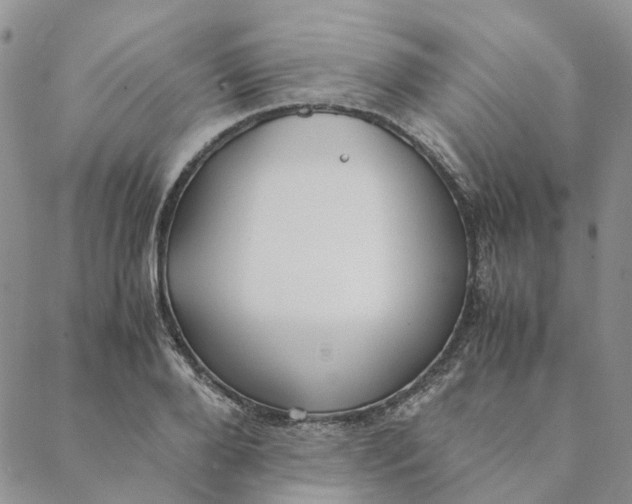 X0000088460888200706121501