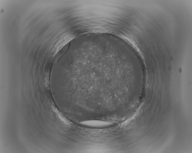 X0000088460889200706121501