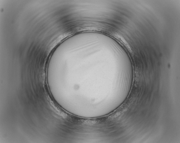 X0000088460890200706121501