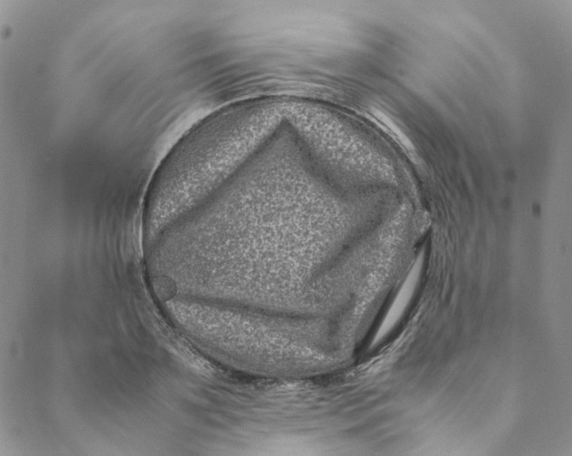 X0000088460891200706121501