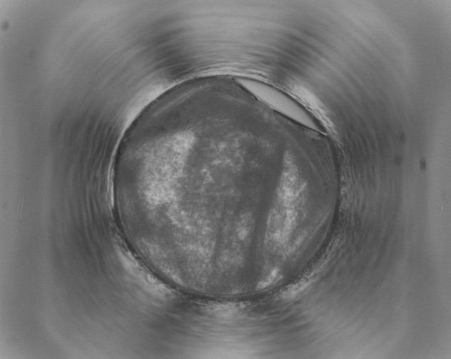 X0000088460892200706121501