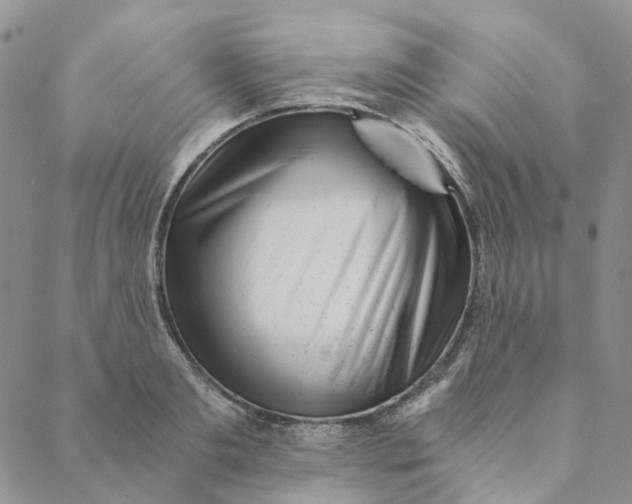 X0000088460893200706121501