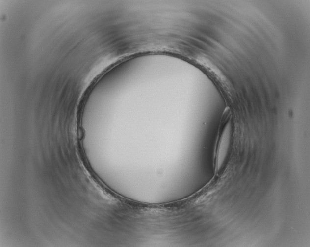 X0000088460894200706121501