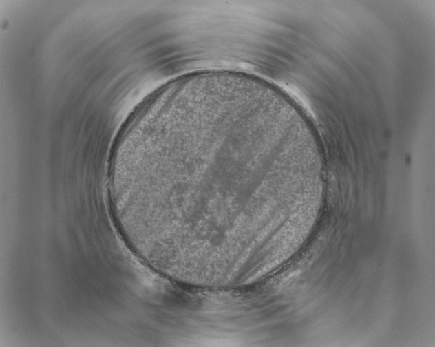 X0000088460895200706121501