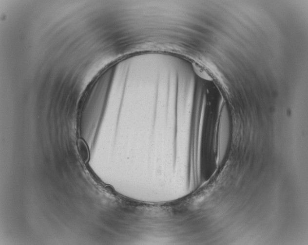 X0000088460896200706121501