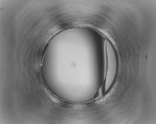 X0000088460897200706121501