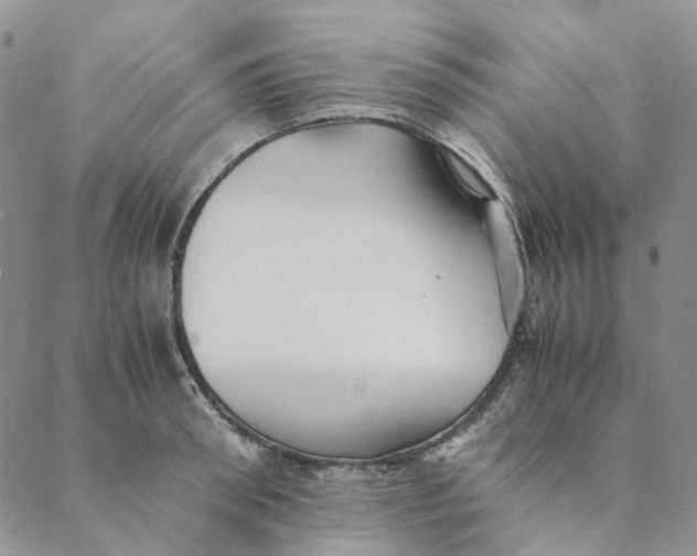 X0000088460898200706121501