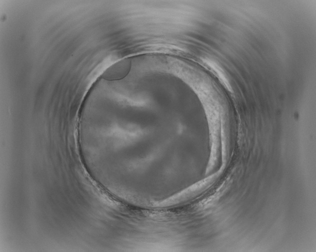 X0000088460899200706121501