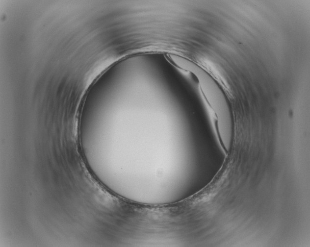 X0000088460900200706121501