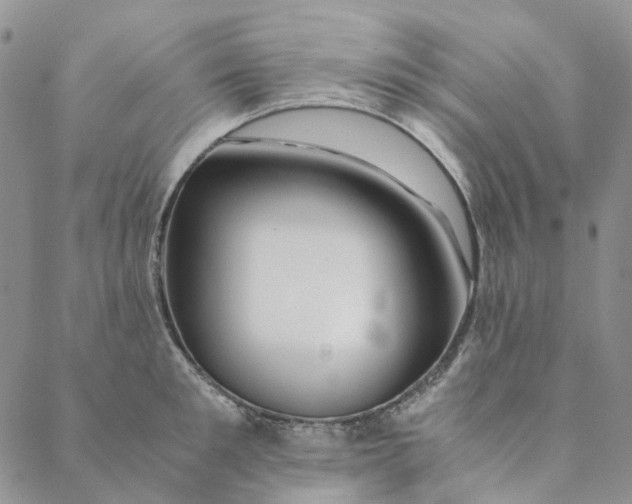 X0000088460901200706121501