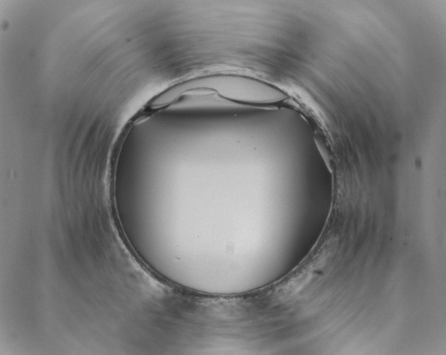 X0000088460902200706121501