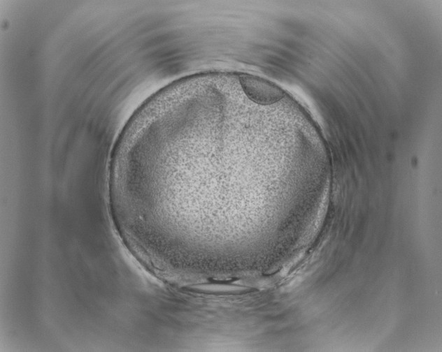 X0000088460903200706121501