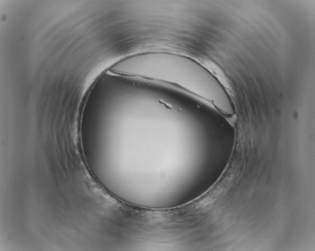 X0000088460904200706121501