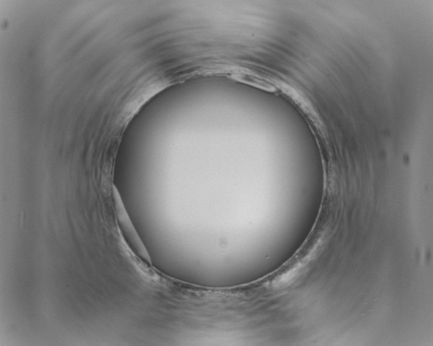 X0000088460905200706121501