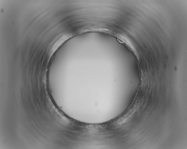 X0000088460906200706121501