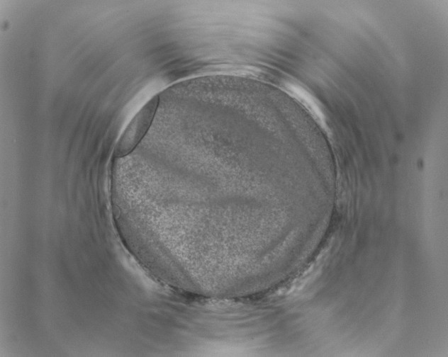 X0000088460907200706121501